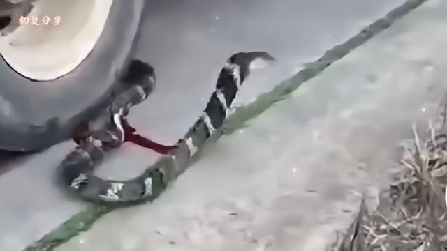 屋顶上的太阳能光伏板 未来家庭的能源新选择